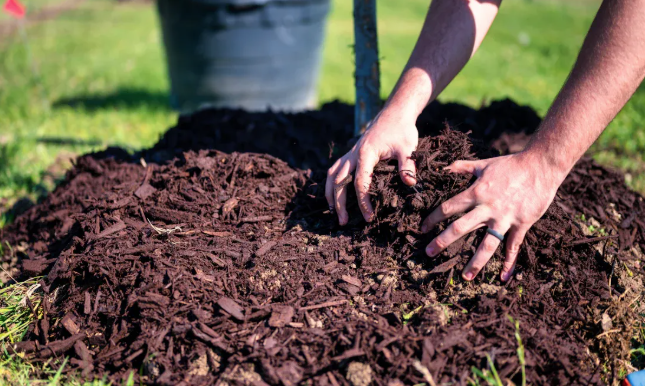 Wie viele S&auml;cke Mulch in einem Garten mit Schubkarren?